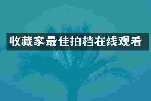 收藏家最佳拍档在线观看