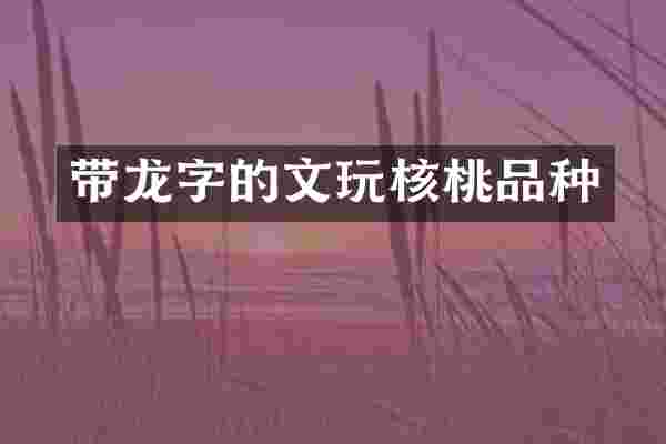 带龙字的文玩核桃品种