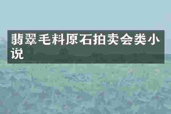 翡翠毛料原石拍卖会类小说