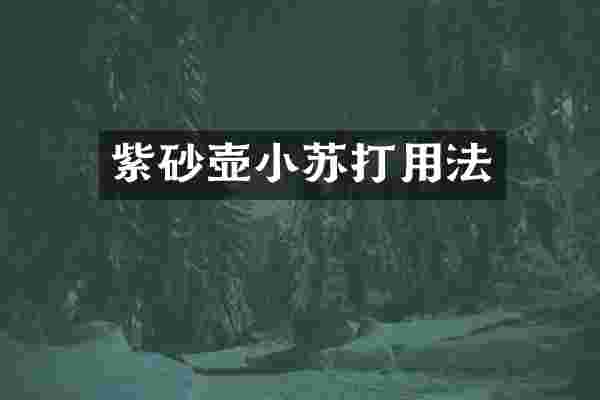 紫砂壶小苏打用法