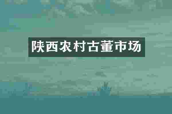 陕西农村古董市场