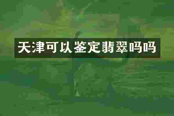 天津可以鉴定翡翠吗吗