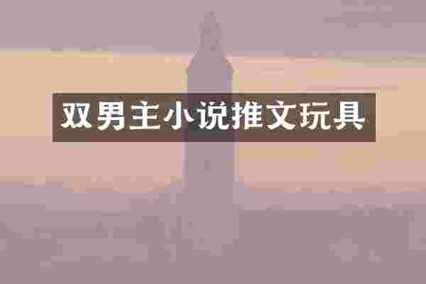 双男主小说推文玩具