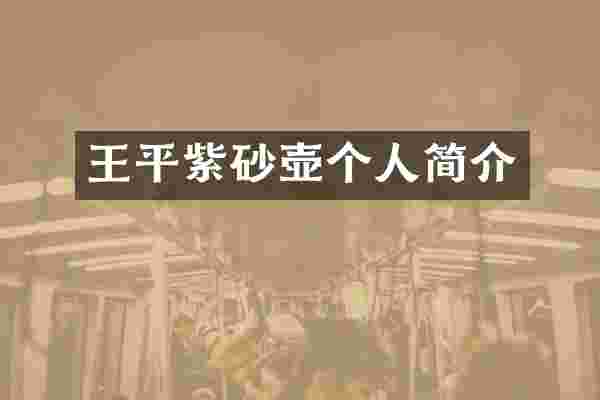 王平紫砂壶个人简介