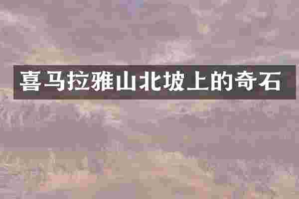 喜马拉雅山北坡上的奇石