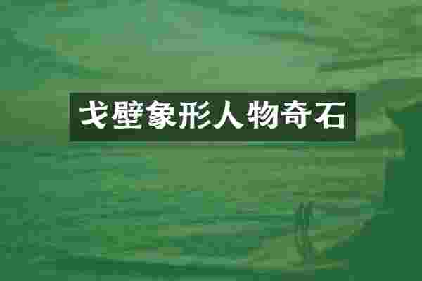 戈壁象形人物奇石