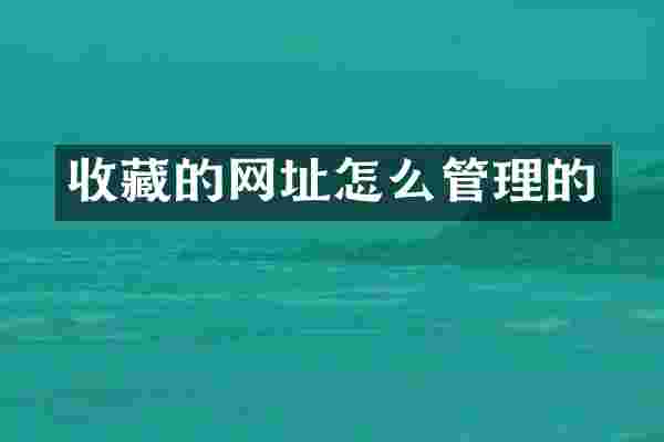 收藏的网址怎么管理的