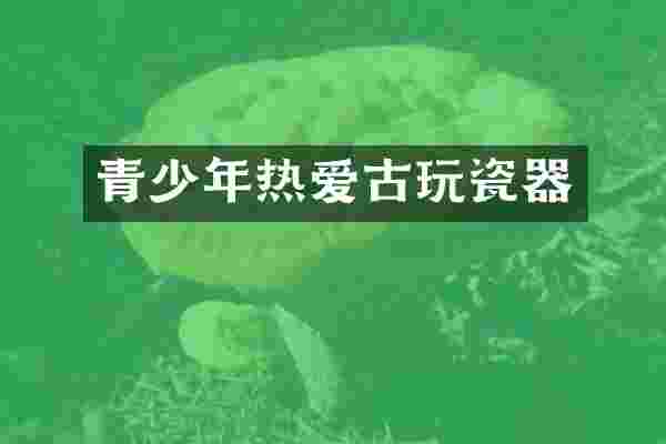青少年热爱古玩瓷器