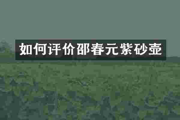 如何评价邵春元紫砂壶