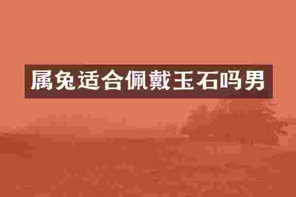 属兔适合佩戴玉石吗男