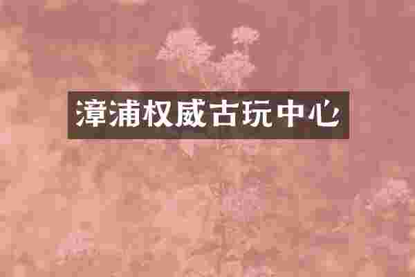 漳浦权威古玩中心