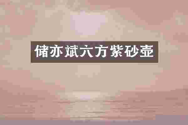 储亦斌六方紫砂壶
