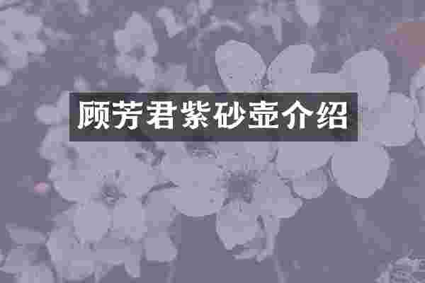 顾芳君紫砂壶介绍