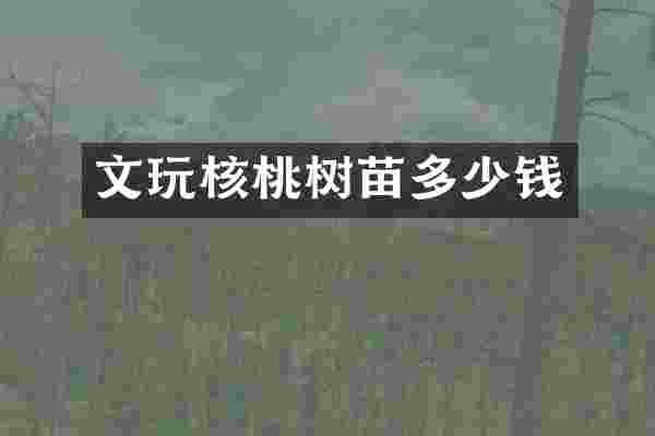 文玩核桃树苗多少钱