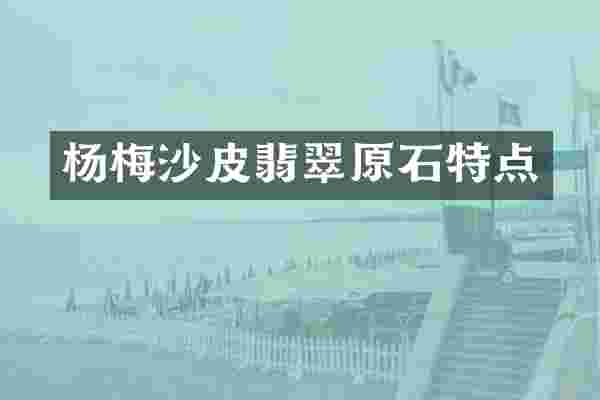 杨梅沙皮翡翠原石特点