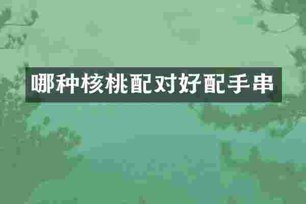 哪种核桃配对好配手串