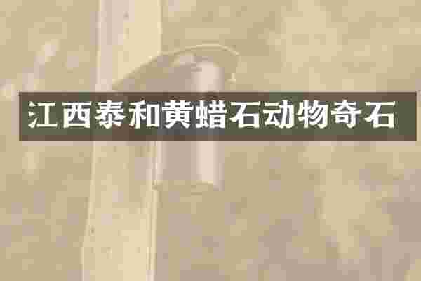江西泰和黄蜡石动物奇石