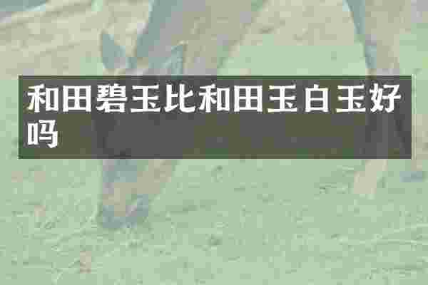 和田碧玉比和田玉白玉好吗