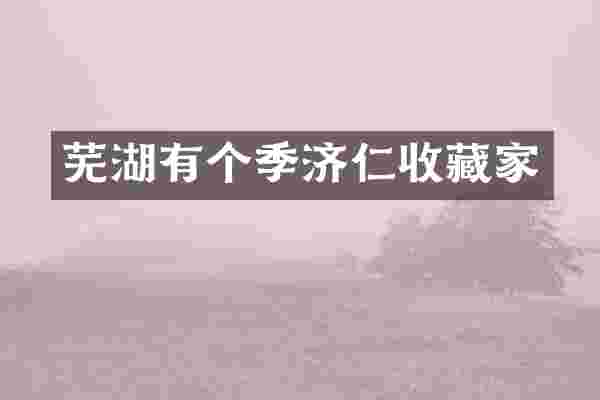 芜湖有个季济仁收藏家