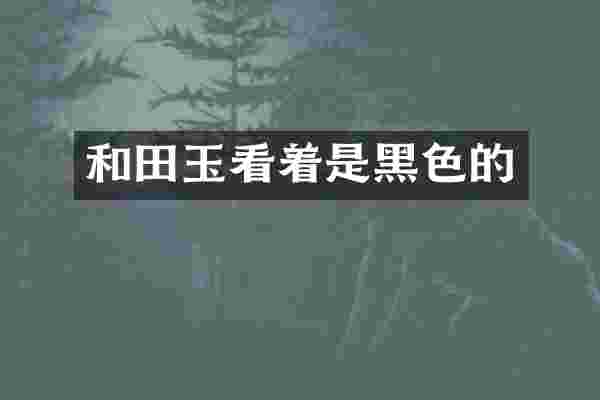 和田玉看着是黑色的