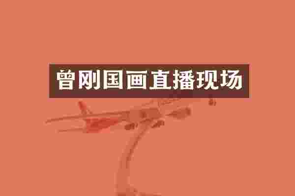 曾刚国画直播现场