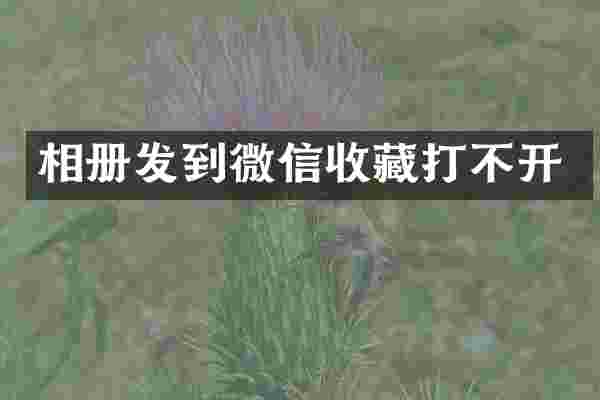 相册发到微信收藏打不开