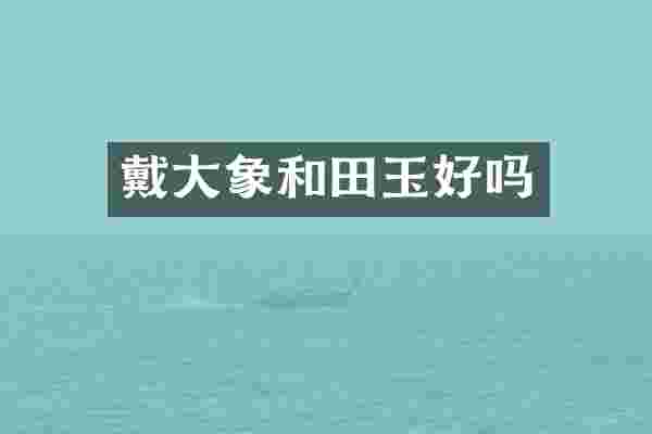 戴大象和田玉好吗