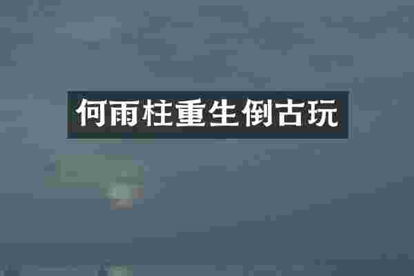 何雨柱重生倒古玩