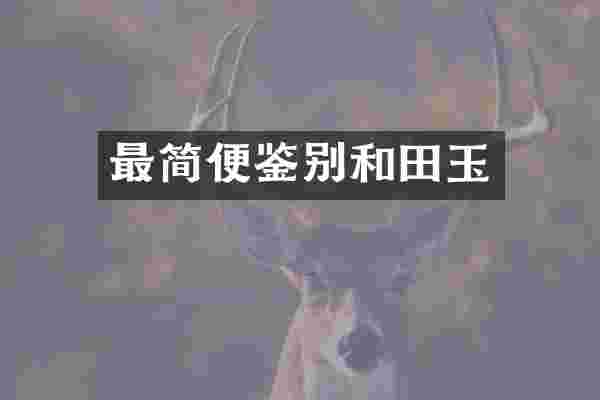 最简便鉴别和田玉