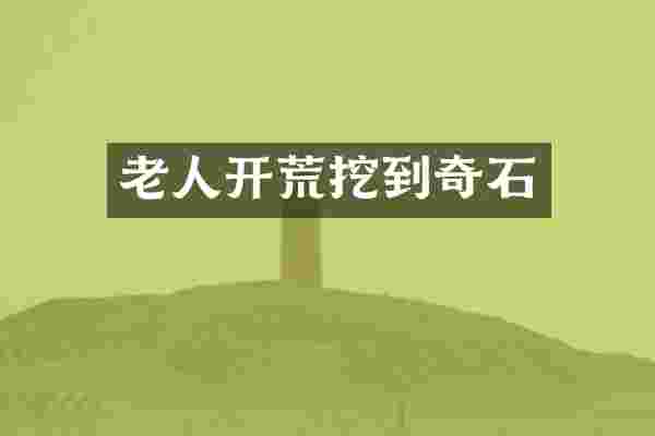 老人开荒挖到奇石