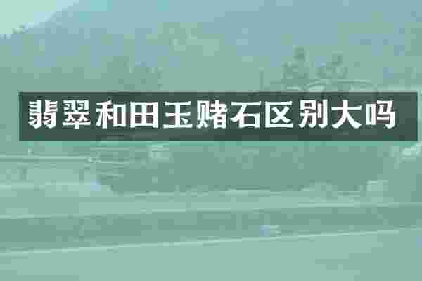 翡翠和田玉赌石区别大吗