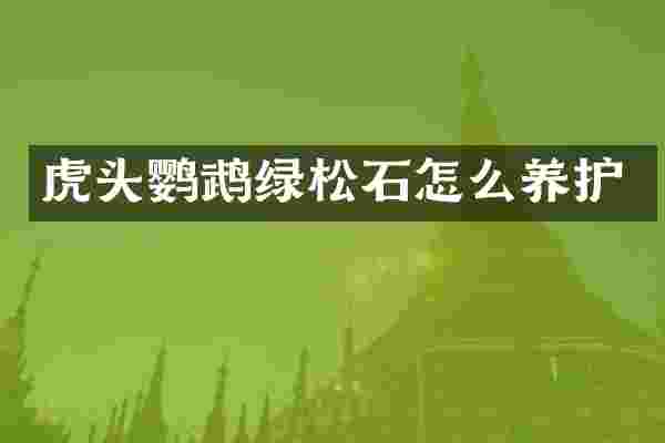 虎头鹦鹉绿松石怎么养护