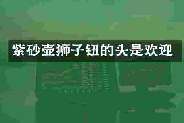 紫砂壶狮子钮的头是欢迎