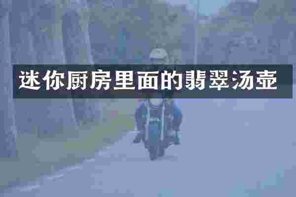 迷你厨房里面的翡翠汤壶