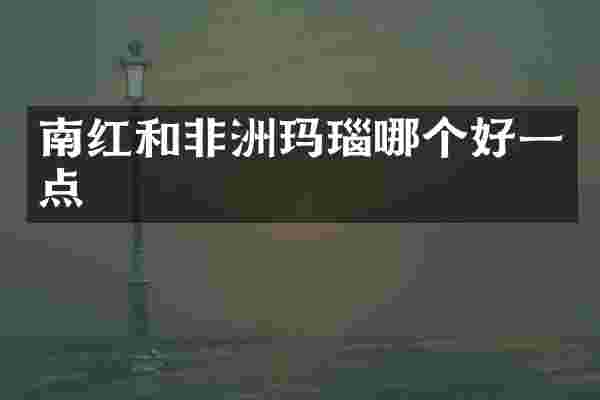 南红和非洲玛瑙哪个好一点