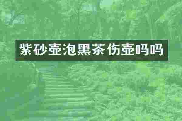 紫砂壶泡黑茶伤壶吗吗