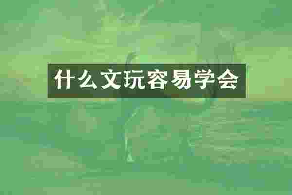 什么文玩容易学会