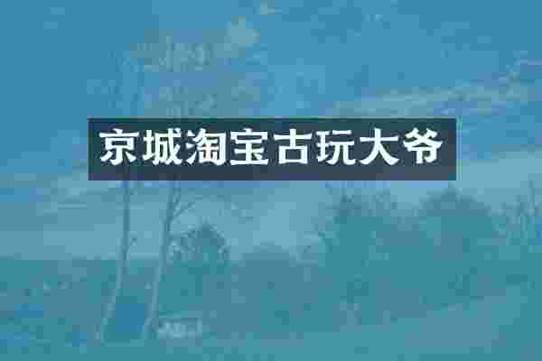京城淘宝古玩大爷