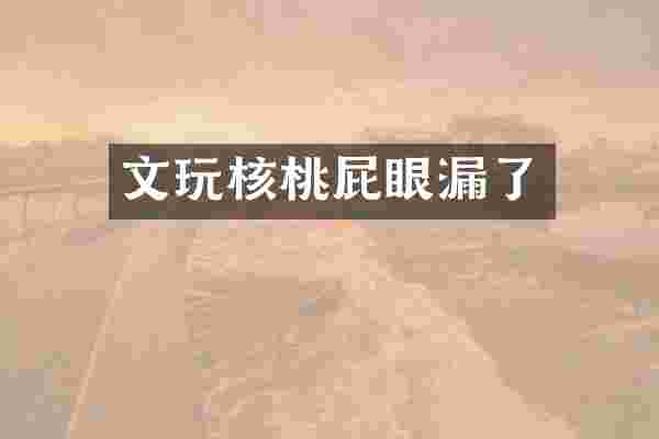 文玩核桃屁眼漏了