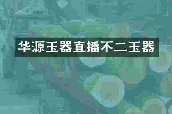 华源玉器直播不二玉器