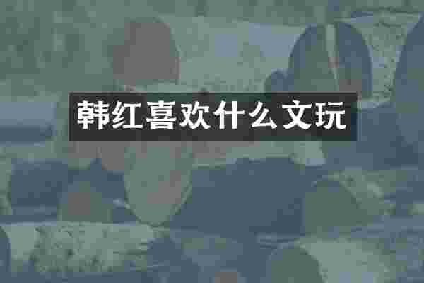 韩红喜欢什么文玩