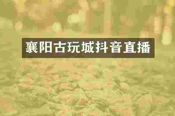 襄阳古玩城抖音直播
