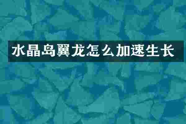 水晶岛翼龙怎么加速生长