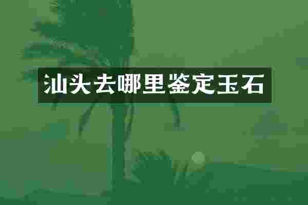 汕头去哪里鉴定玉石