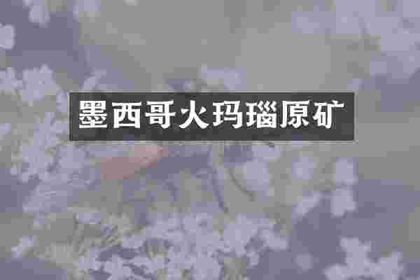墨西哥火玛瑙原矿