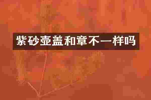紫砂壶盖和章不一样吗