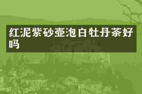 红泥紫砂壶泡白牡丹茶好吗