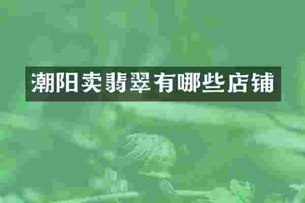 潮阳卖翡翠有哪些店铺