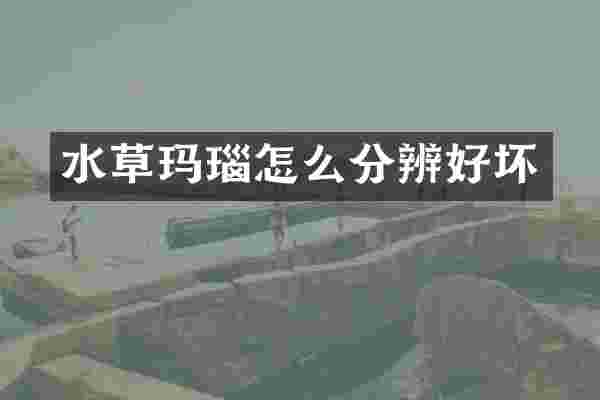 水草玛瑙怎么分辨好坏