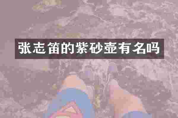 张志笛的紫砂壶有名吗